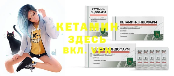крисы Каменногорск