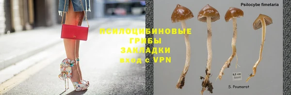 крисы Каменногорск