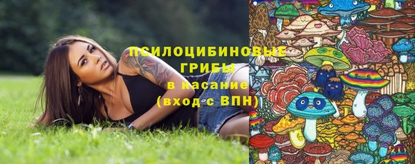 крисы Каменногорск