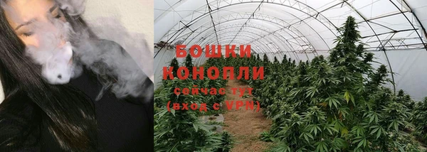крисы Каменногорск