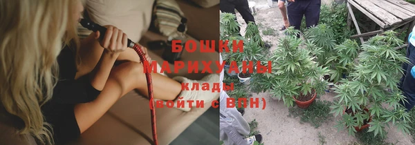 крисы Каменногорск