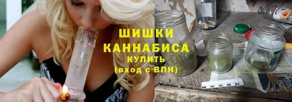 крисы Каменногорск