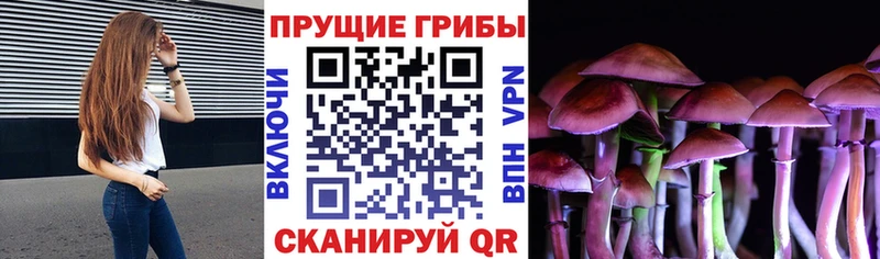 Псилоцибиновые грибы мицелий  Купить  Тарко-Сале 