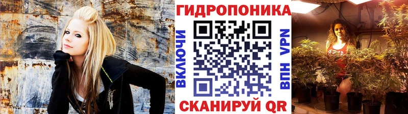 Канабис индика  Купить закладки  Тарко-Сале 